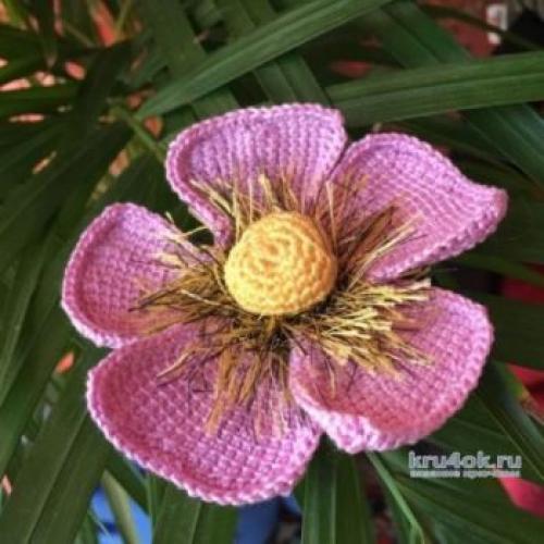 Вязаные крючком цветы на шапку схемы. Вяжем цветы крючком, огромная подборка схем и описаний