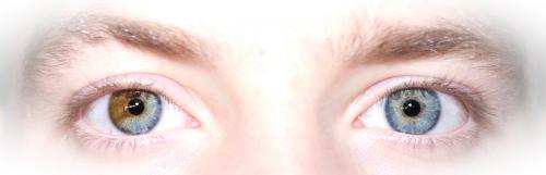 А вы нашли свой цвет. Как найти свой цвет 14 А вы нашли свой цвет. Как найти свой цвет 14