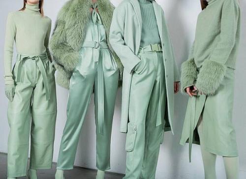 Как называется мятный цвет по другому называется. Мятный тренд в дизайне тем WordPress 18