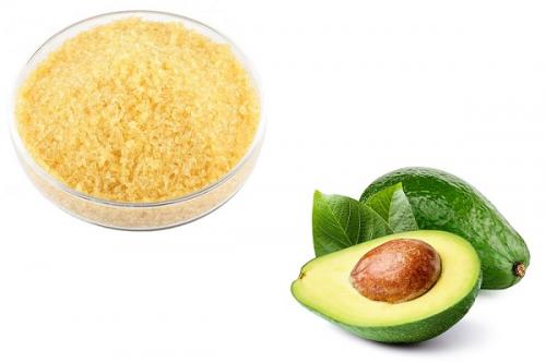 Маска от черных точек с углем в домашних условиях. Эффективные рецепты маски от черных точек с активированным углем и желатином