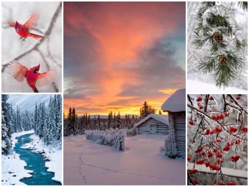 Ночная Зима цветотип. Я наконец определилась! Глубокая/Темная ЗИМА (Deep/Dark Winter)