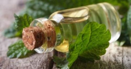 Крем суфле для тела своими руками рецепт. Крем-суфле для лица и для тела с маслом мелиссы