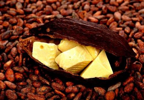 Крем для тела своими руками с маслом, какао. Крем на основе масла, какао