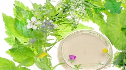 Как приготовить увлажняющий крем для лица в домашних условиях. Общие правила ухода 04