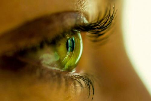 ТОП ФАКТОВ о том. ТОП 20: Самые интересные факты ОБО ВСЁМ на свете