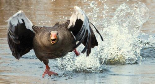 ТОП ФАКТОВ о том. ТОП 20: Самые интересные факты ОБО ВСЁМ на свете