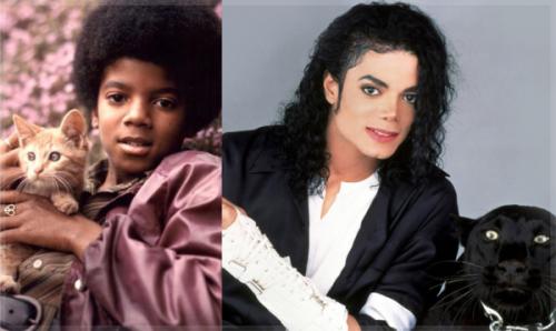 Переходы Теплой осени в соседние цветотипы: как это работает 12 Переходы Теплой осени в соседние цветотипы: как это работает 12