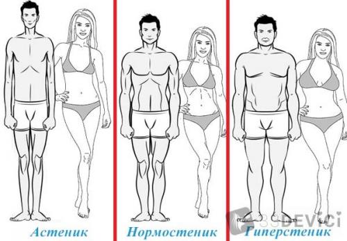 Рост вес мужчины. По типам телосложения