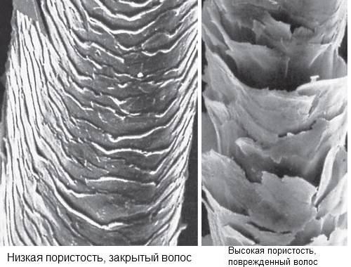 Из черного в русый без зелени и ржавчины. Обесцвечивание 11 Из черного в русый без зелени и ржавчины. Обесцвечивание 11