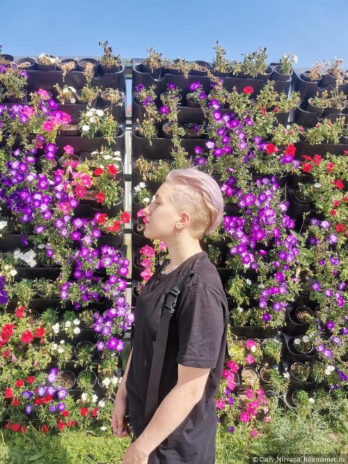 Можно ли нанести оттенок блонд самостоятельно. Безаммиачные красители Начнем с самого популярного способа тонирование — использование безаммиачных красителей. Производители многих брендов предлагают покупателям краски без аммиака, которые они смогут использовать в домашних условиях с минимальным вредом для волос — это щадящий вариант для тех, кто боится испортить свои волосы после окрашивания.