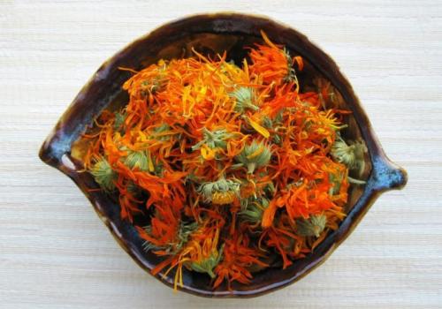 Как отрастить брови после неудачной коррекции. Как быстро отрастить брови в домашних условиях? Лучшие способы отрастить брови за неделю, месяц, после выщипывания, татуажа, неудачной коррекции, редкие брови