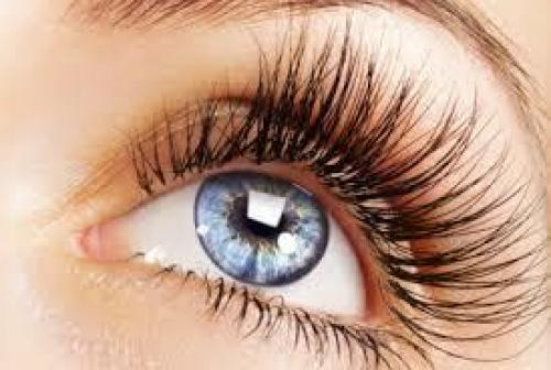 Уход за бровями и ресницами. Правильная коррекция формы бровей 27 Уход за бровями и ресницами. Правильная коррекция формы бровей 27