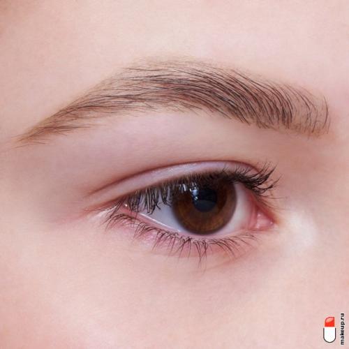 Средства по уходу за бровями и ресницами. Декоративная косметика для бровей: обзор