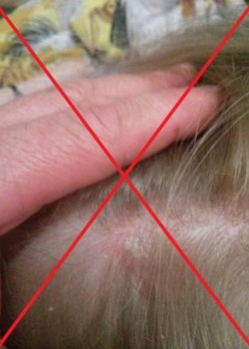 Как покрасить волосы из светло-русого.. Кому подходит? 26 Как покрасить волосы из светло-русого.. Кому подходит? 26