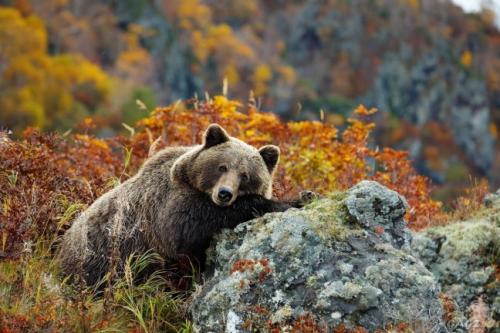 Психология цвета в одежде. Синий: «синее море» 12
