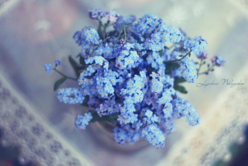 Что означает голубой цвет. Символика цвета - голубой 01 Что означает голубой цвет. Символика цвета - голубой 01