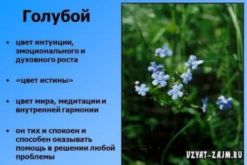 Что означает если твой любимый цвет голубой. Что означает голубой цвет в психологии?