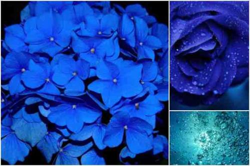 Синий цвет психология восприятия. Цвет и работоспособность. Психология синего цвета в действии