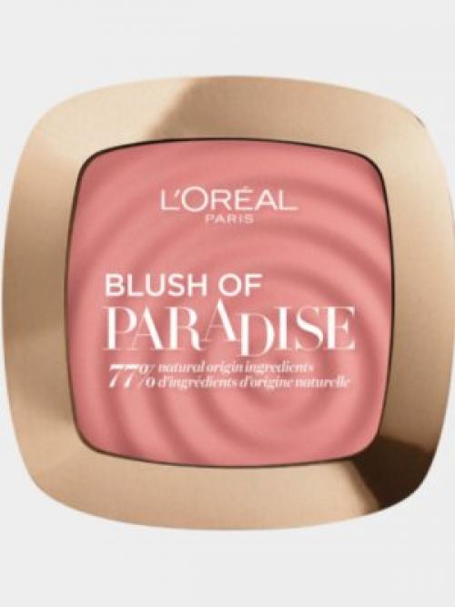 Как выбрать румяна для светлой кожи. Белоснежкам посвящается: какие румяна подойдут для светлой кожи?