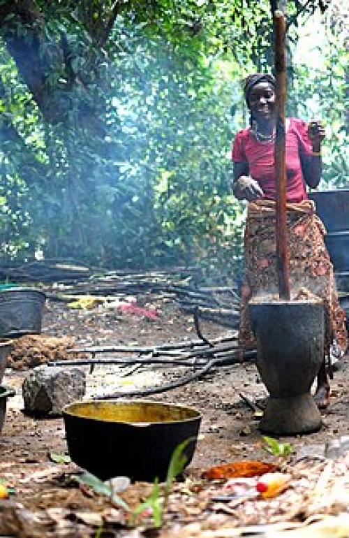 Что нужно для домашнего мелирования?