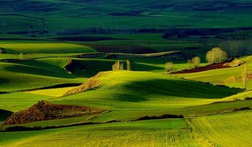 Как цвет влияет на наши эмоции. Что такое психология цвета 16