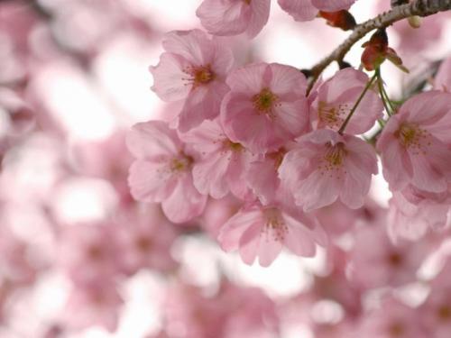 Как цвет влияет на наши эмоции. Что такое психология цвета 21