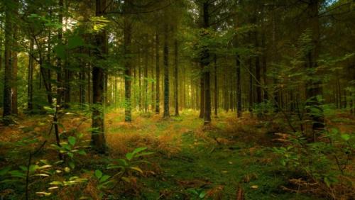 Как цвет влияет на наши эмоции. Что такое психология цвета 07