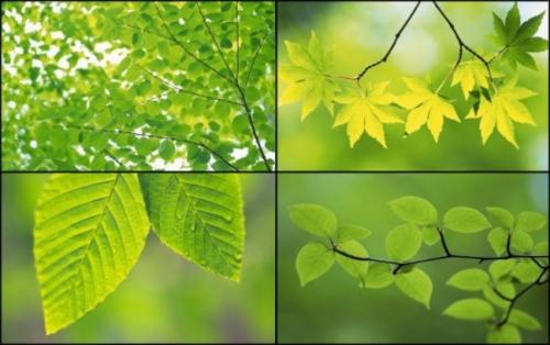 Как цвет влияет на наши эмоции. Что такое психология цвета 10