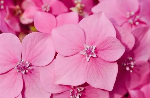 Любимый цвет психопатов. Интерпретации цветов в психологии: характер и влияние на человека