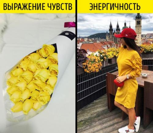 Характер человека по цветам. Что значат цвета и чем они могут помочь: характер, сочетание, применение 07