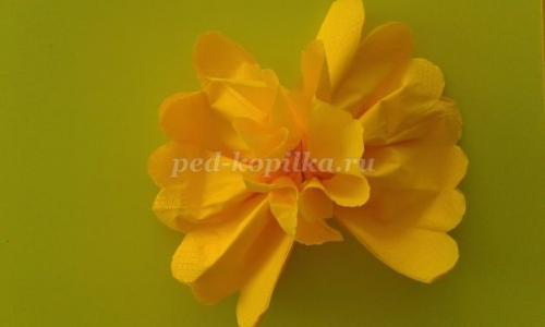 Вязание цветов крючком: шаг за шагом 12