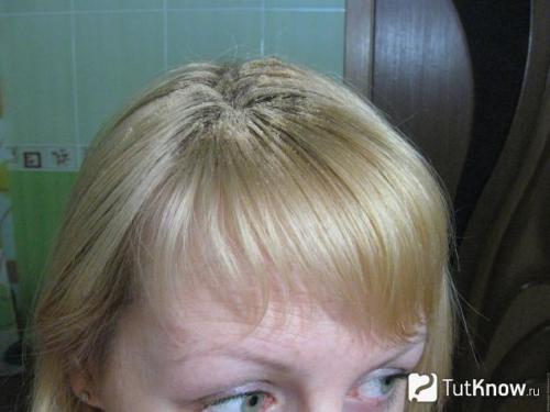 Рецепты домашней косметики для лица и тела. Рецепты косметики своими руками: что необходимо для приготовления домашней косметики 05