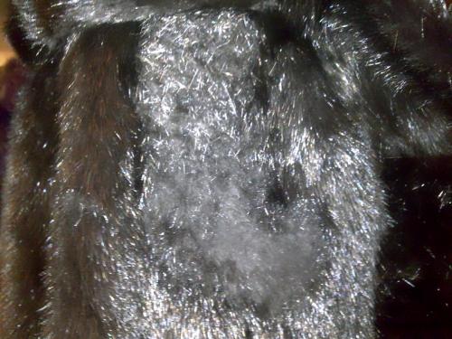 Как предотвратить отслоение меха от шапки при стирке или износе. Причины порчи меховых изделий