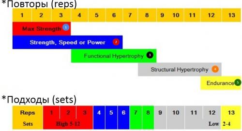 Простой и эффективный: базовая программа тренировок на массу для мужчин и девушек 03