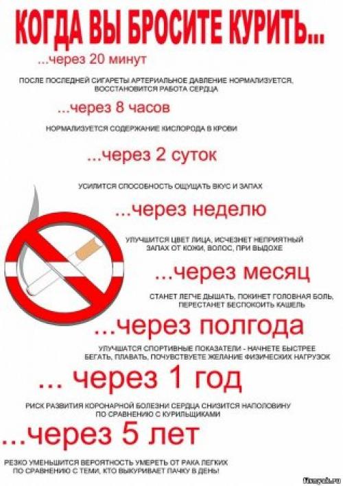 Как вредные привычки могут негативно повлиять на здоровье. Вредные привычки и их влияние на здоровье человека