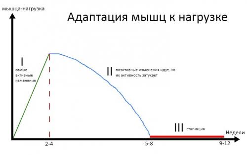 Шаг за шагом: как разработать себе программу силовых тренировок 01 Шаг за шагом: как разработать себе программу силовых тренировок 01