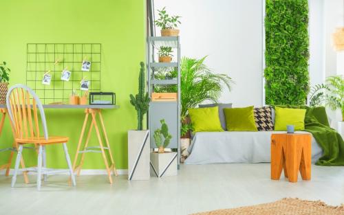 Почему хочется зеленого цвета. ПОЧЕМУ «ТЯНЕТ» НА ОПРЕДЕЛЕННЫЙ ЦВЕТ