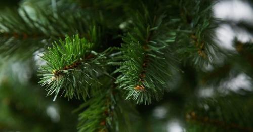 Зеленый цвет в психологии. Зеленые символы современности 08