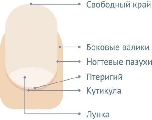 Гель-лак не держится на ногтях по вине мастера. Почему не держится гель-лак на ногтях по вине мастера