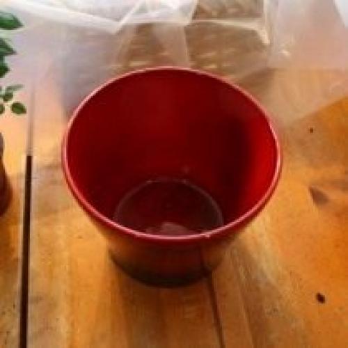 Должны ли горшки иметь дополнительные отверстия для дренажа. Другие элементы дренажной системы