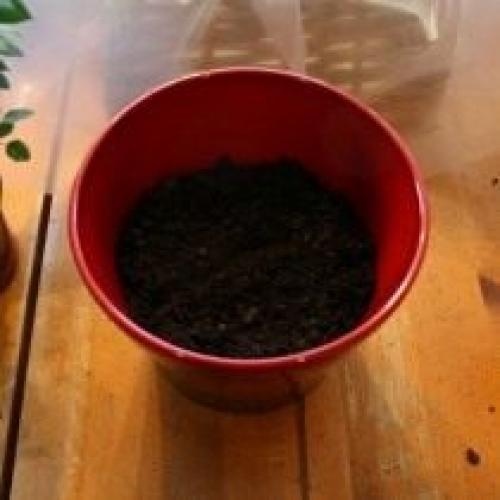 Должны ли горшки иметь дополнительные отверстия для дренажа. Другие элементы дренажной системы