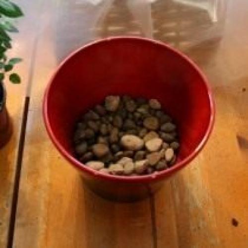 Должны ли горшки иметь дополнительные отверстия для дренажа. Другие элементы дренажной системы