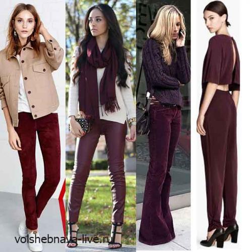 В каких случаях можно носить темно-коричневые бархатные брюки. С чем носить бордовые брюки