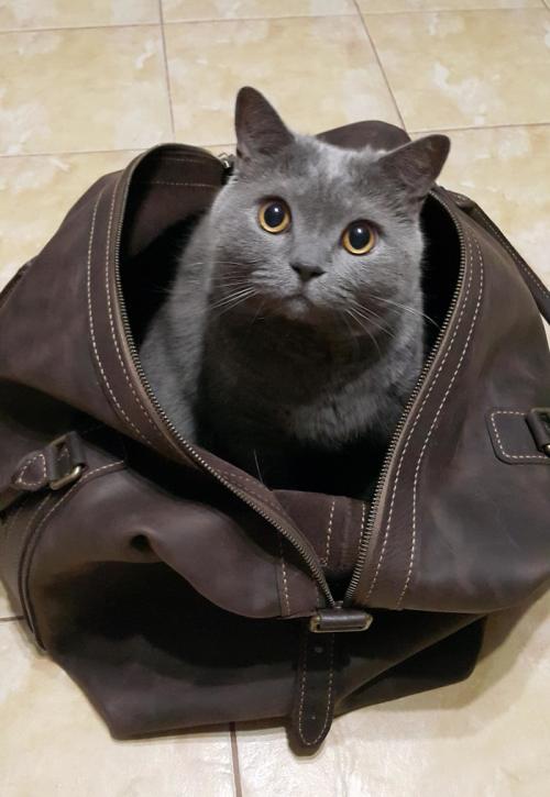 Сумка из кожи своими руками. Дорожная сумка из кожи своими руками