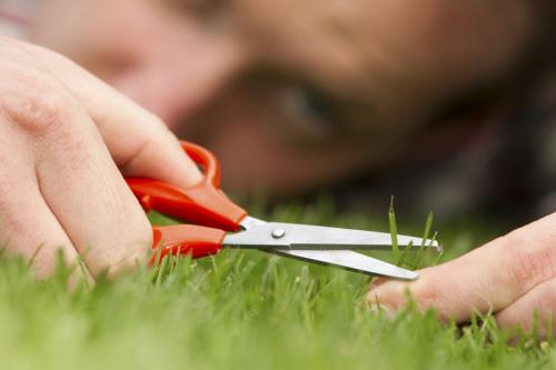 6 самых простых вещей, которые могут изменить вашу жизнь 11