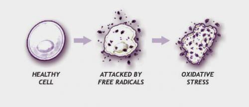 Секреты красоты: как ухаживать за лицом после 50 04 Секреты красоты: как ухаживать за лицом после 50 04