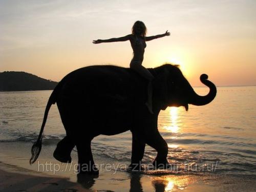 Какие же цели рекомендуется ставить женщинам? 01 Какие же цели рекомендуется ставить женщинам? 01