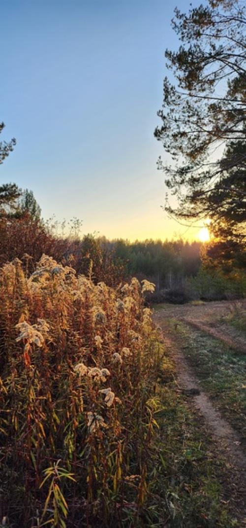 Гениальное высказывание от Фаины раневской! 05 Гениальное высказывание от Фаины раневской! 05
