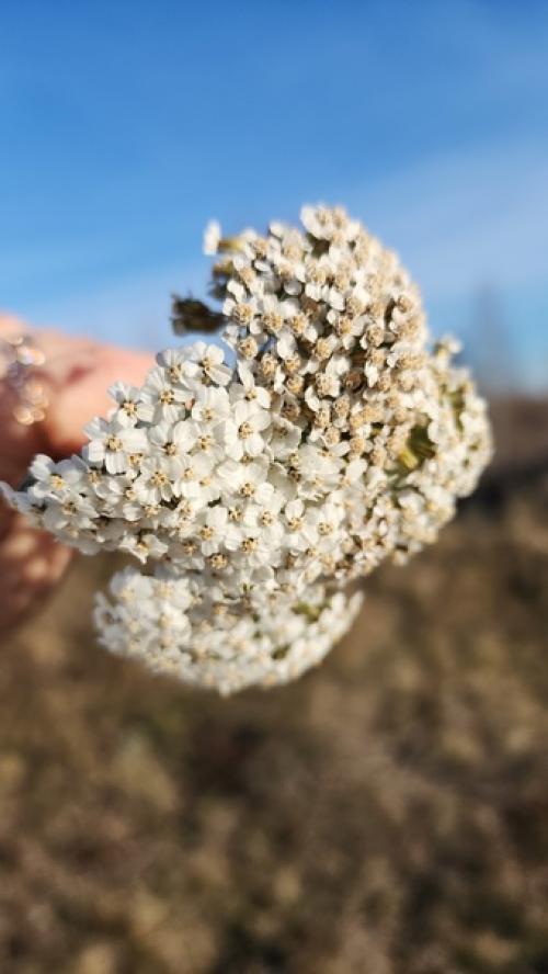Гениальное высказывание от Фаины раневской! 02 Гениальное высказывание от Фаины раневской! 02