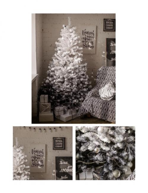 Студия побелка зал Skandi. 03